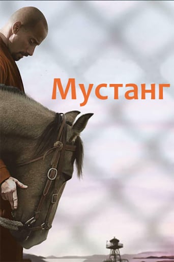 Мустанг постер