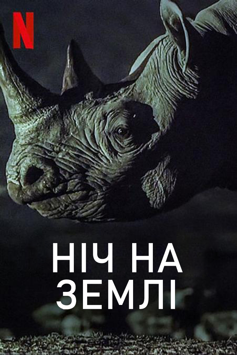 Ніч на Землі