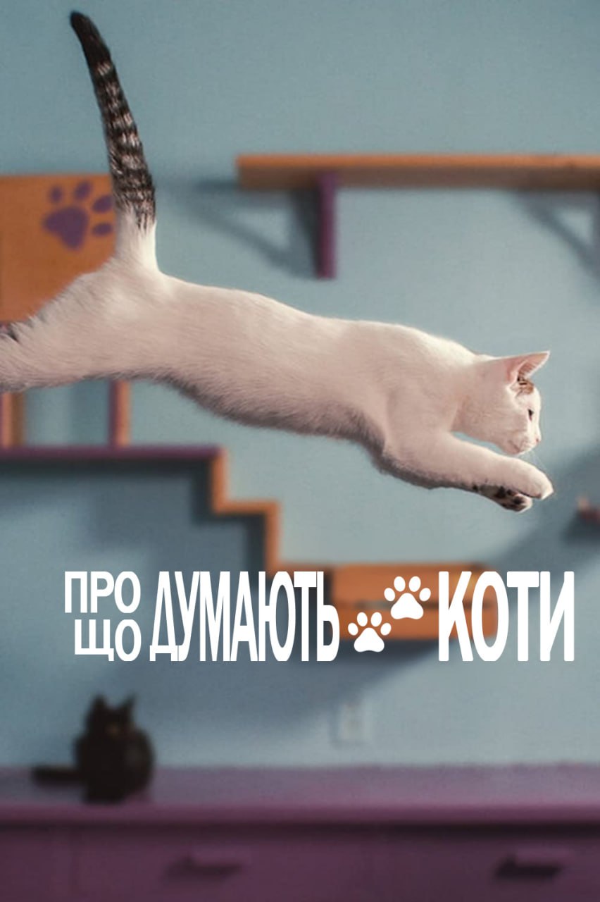 Про що думають коти постер