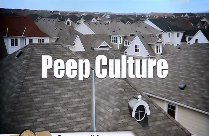 Культура підглядання ( 2010 )