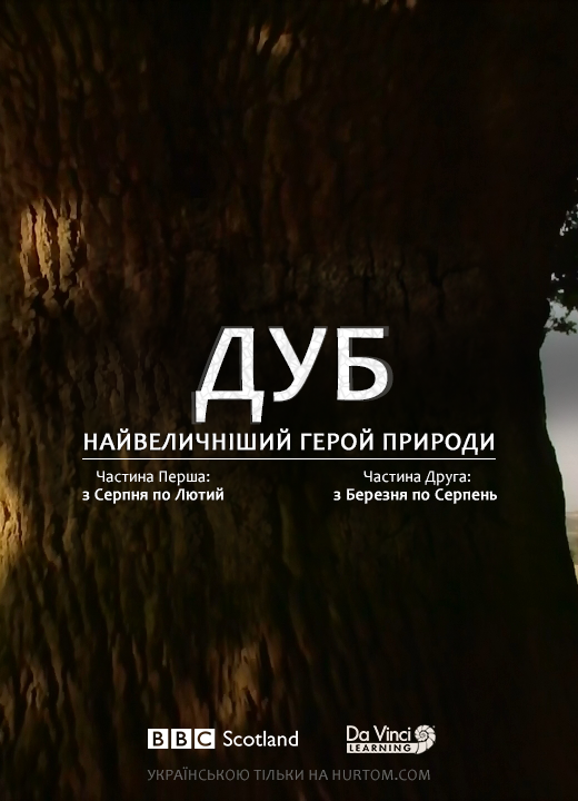 Дуб. Найвеличніший герой природи