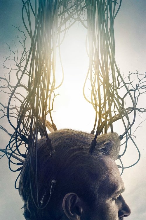 Відкриття ( 2017 )