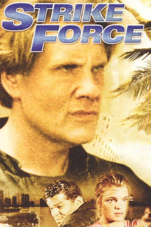 Бойова бригада ( 2003 )