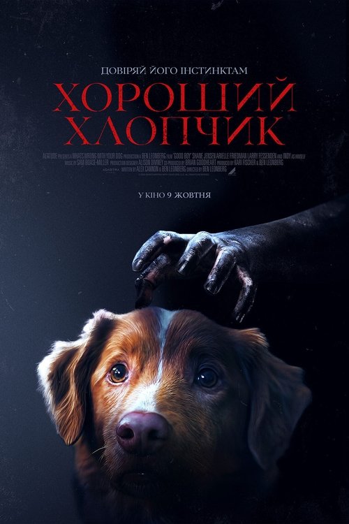 Хороший хлопчик