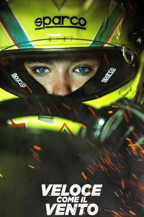 Швидкий, як вітер ( 2016 )