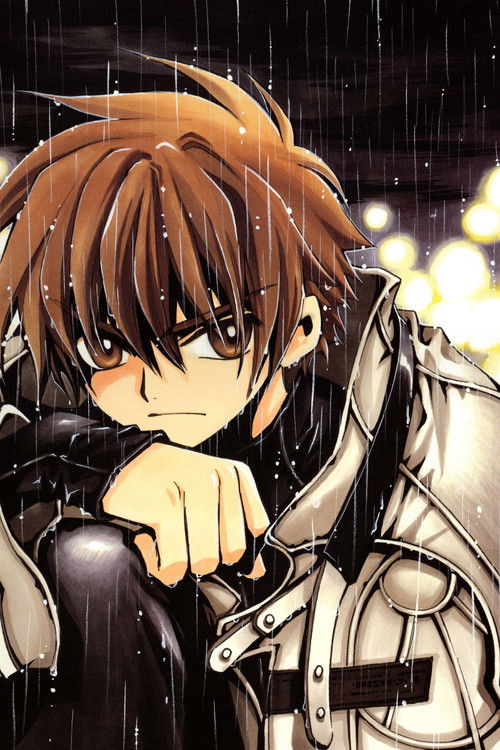 Хроніки Крил ( 2005 )