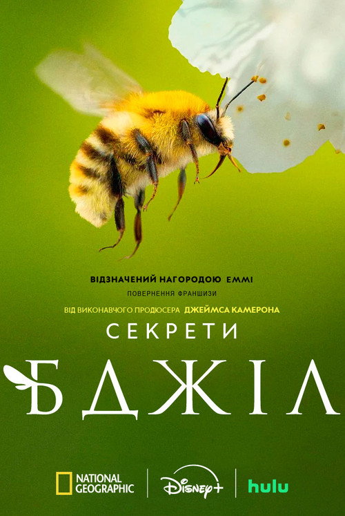 Секрети бджіл