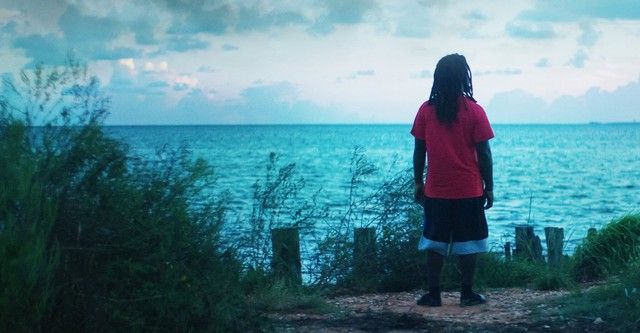 Нащадки останнього рабовласницького корабля - Скріншот 2