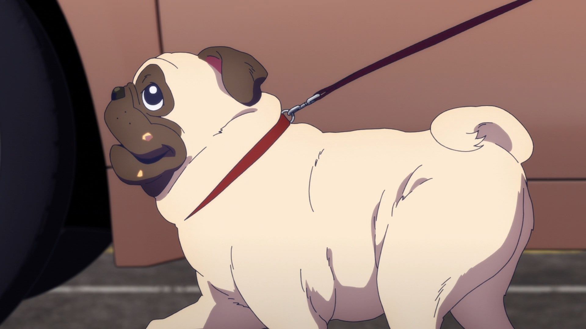 Старша карта - Скріншот 4