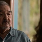 Вовк і лев - Скріншот 3