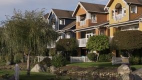 Аромат кохання - Скріншот 3