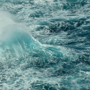 Великий Бар'єрний риф - Скріншот 3