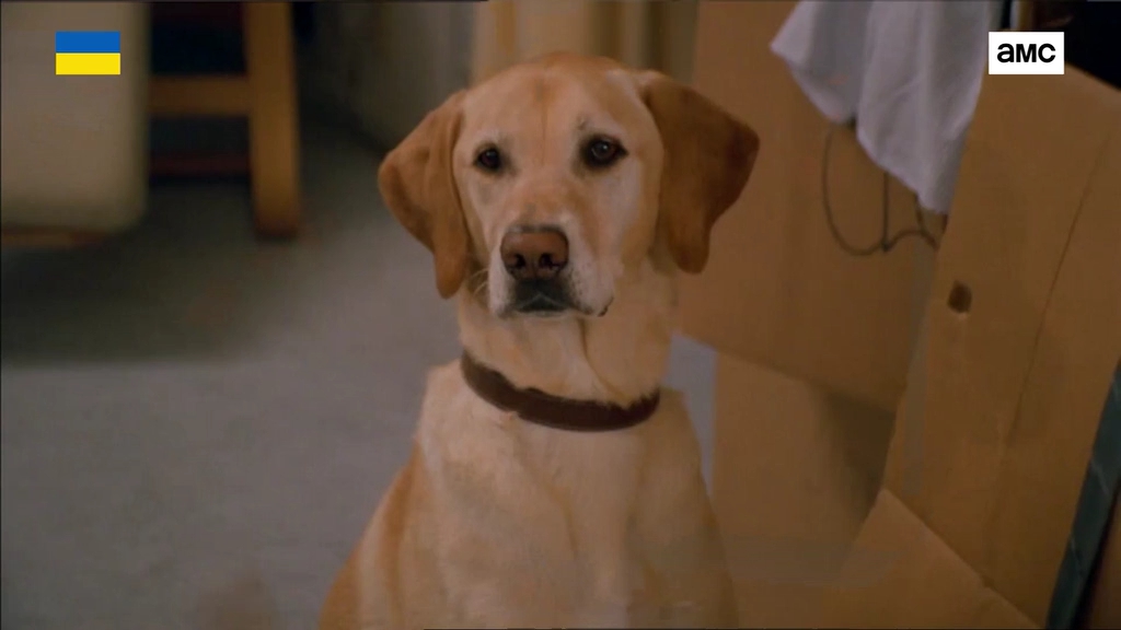 Кохання. Це слово із семи букв кадр 3