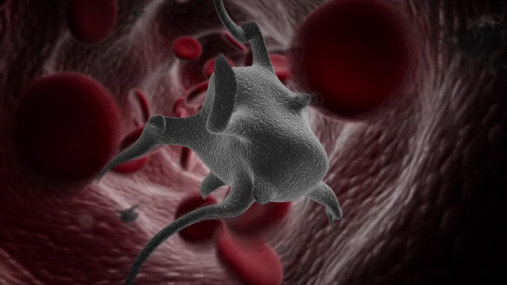 Пандемія - Скріншот 2