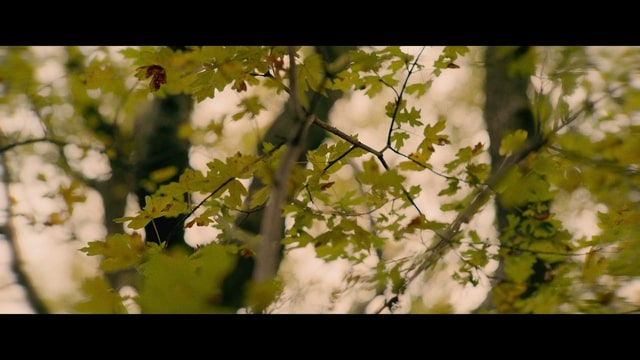 Таємниці неандертальців - Скріншот 1