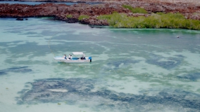 Місія Галапагоси - Скріншот 4