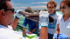 Місія Галапагоси - Скріншот 3