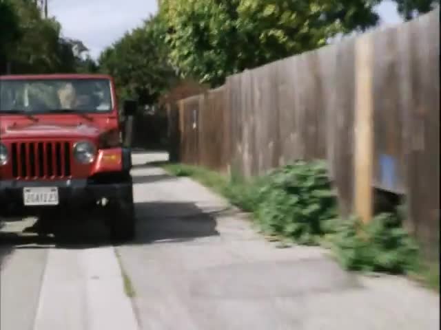 Бродяга кадр 6