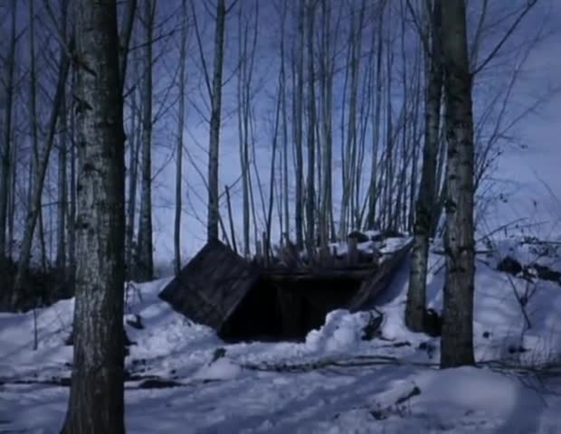 Огр кадр 2