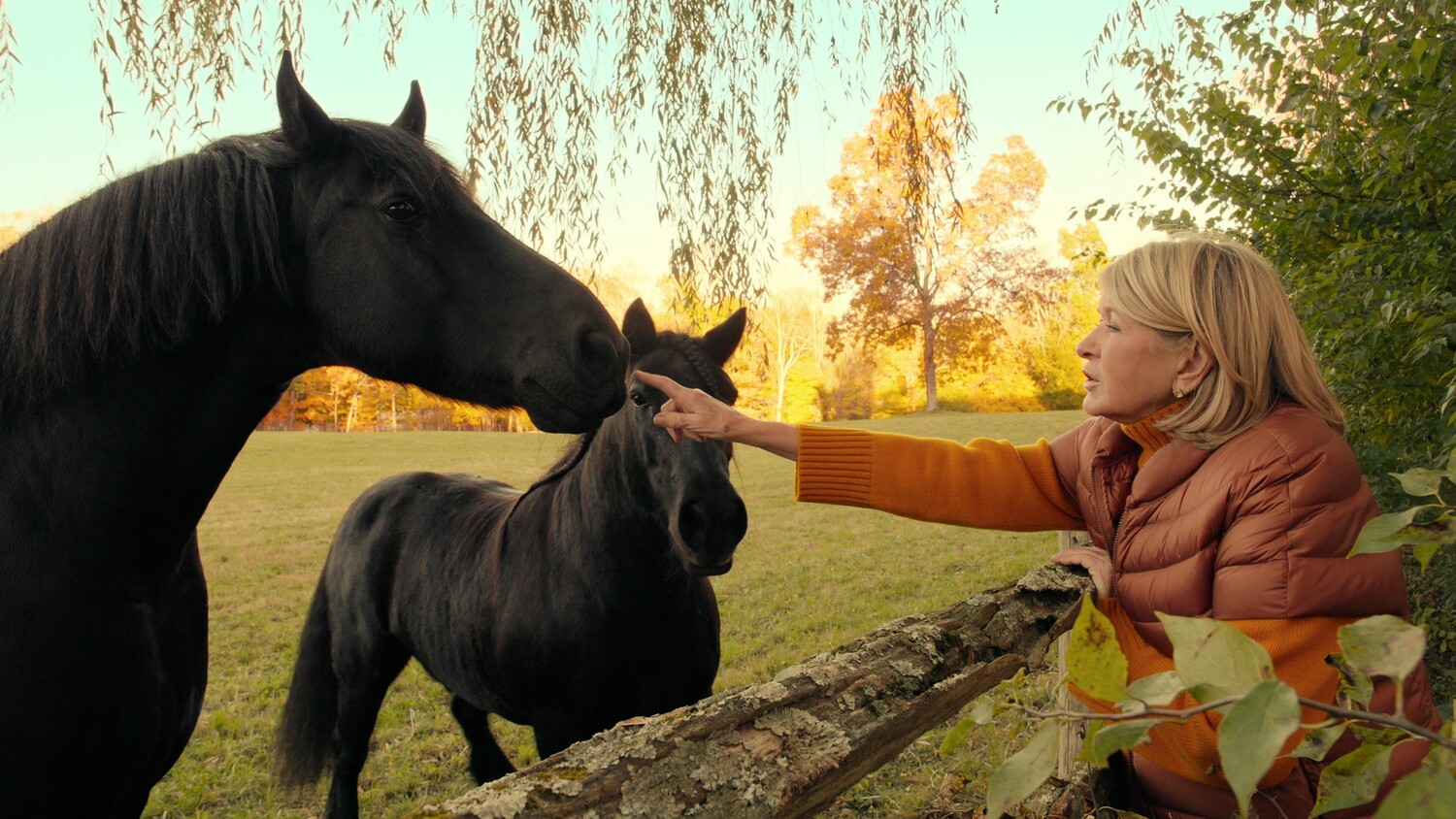 Марта - Скріншот 1
