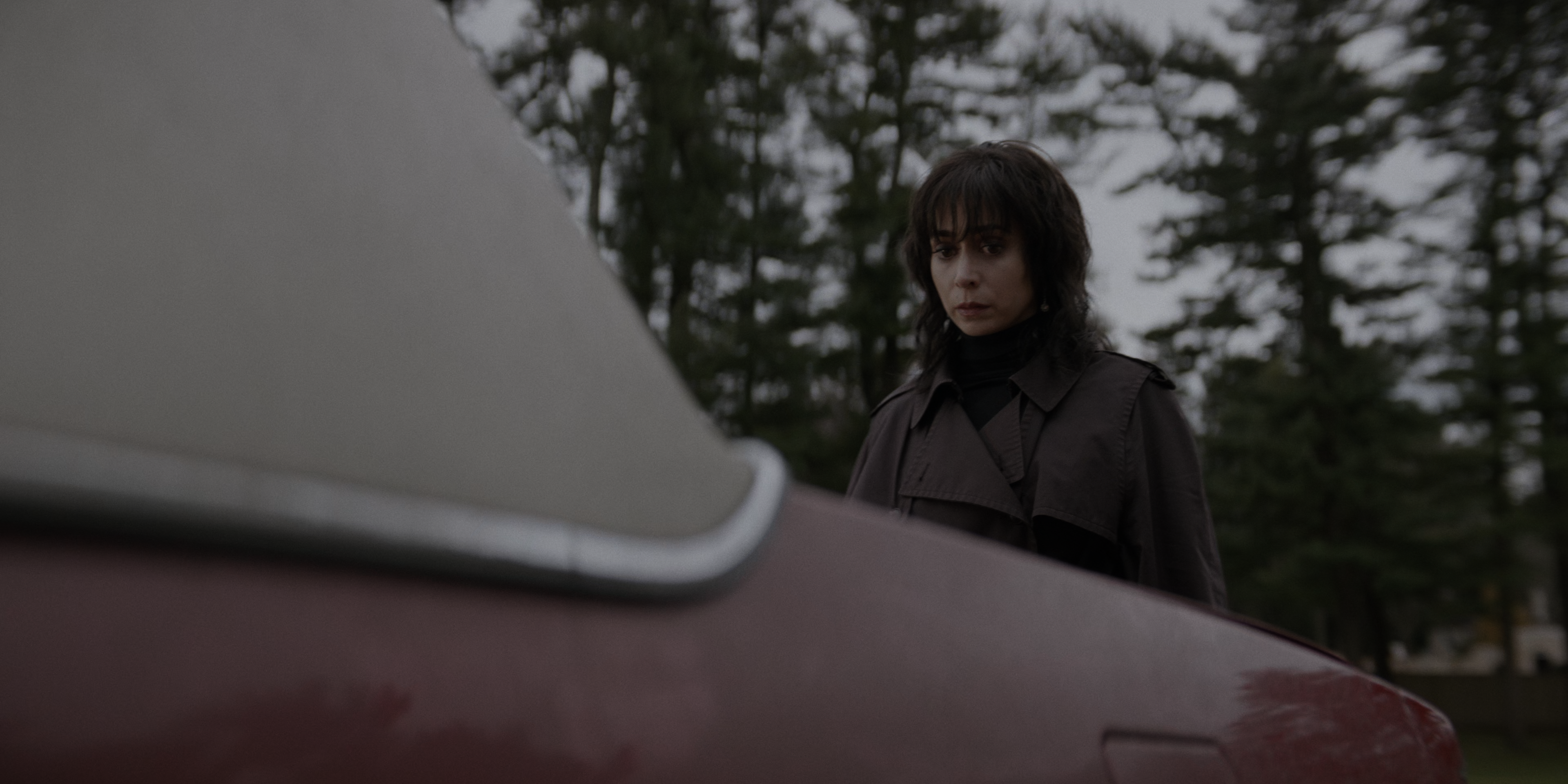 Пінгвін - Скріншот 2