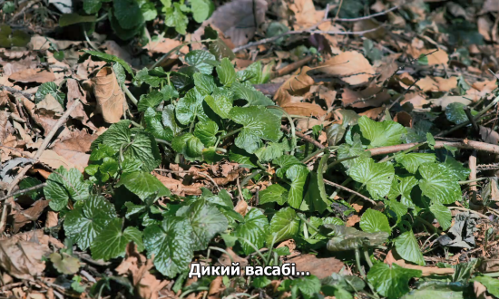 Зла не існує кадр 5