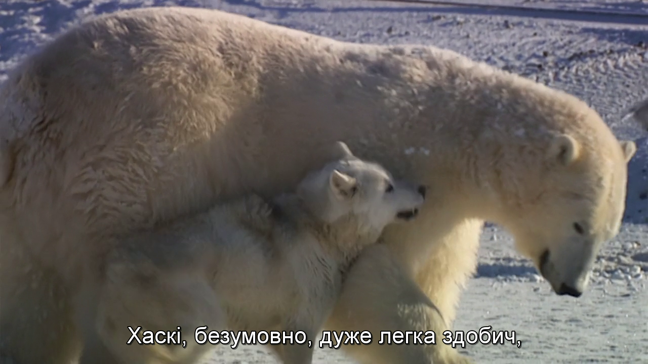 Незвичайні друзі кадр 6