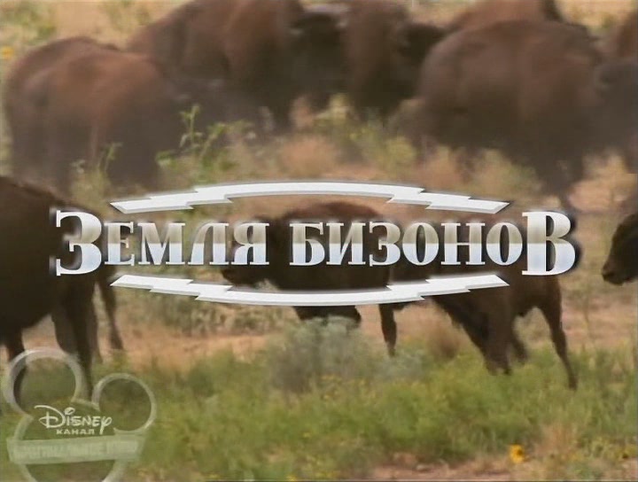 Земля бізонів кадр 4