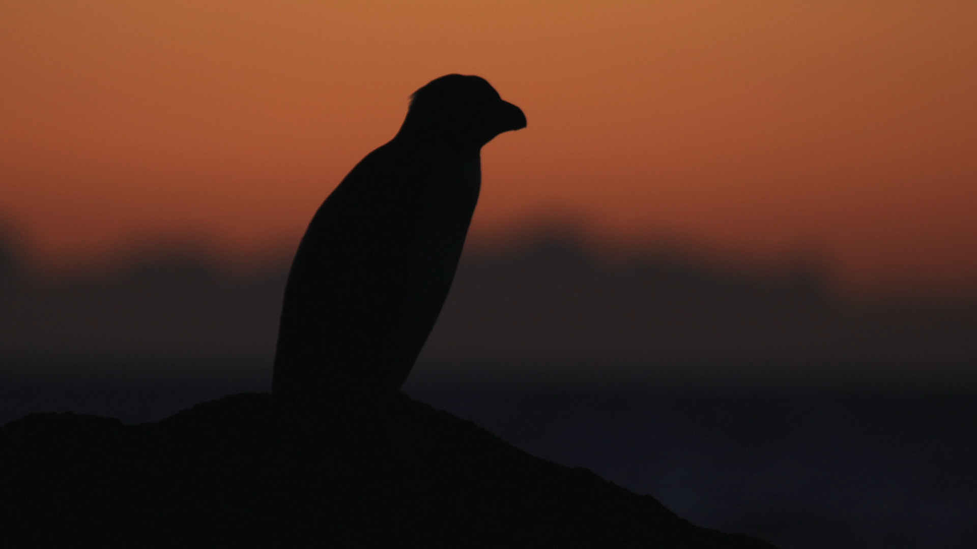 Тіньові землі - Скріншот 4