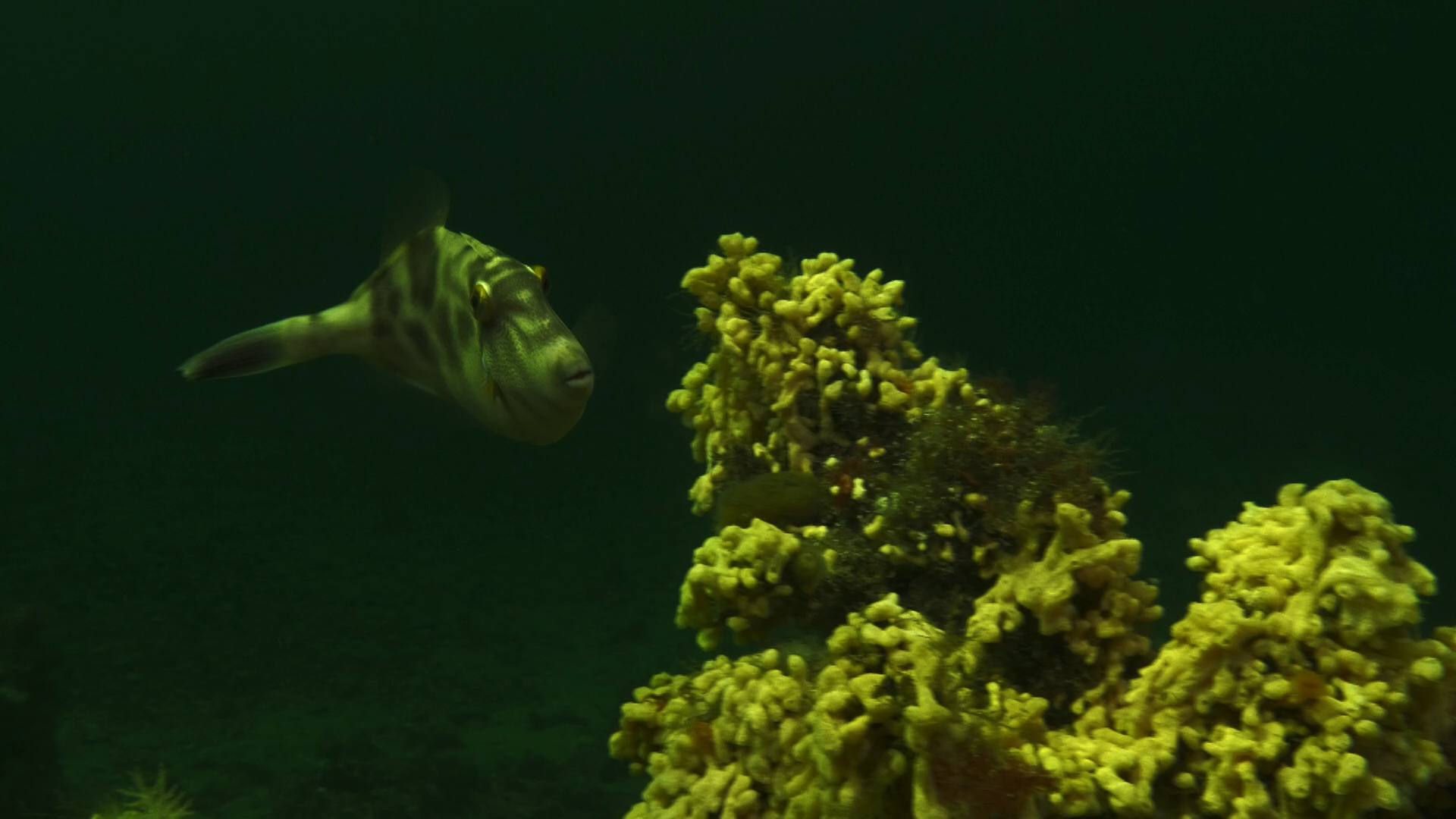 Тіньові землі - Скріншот 3