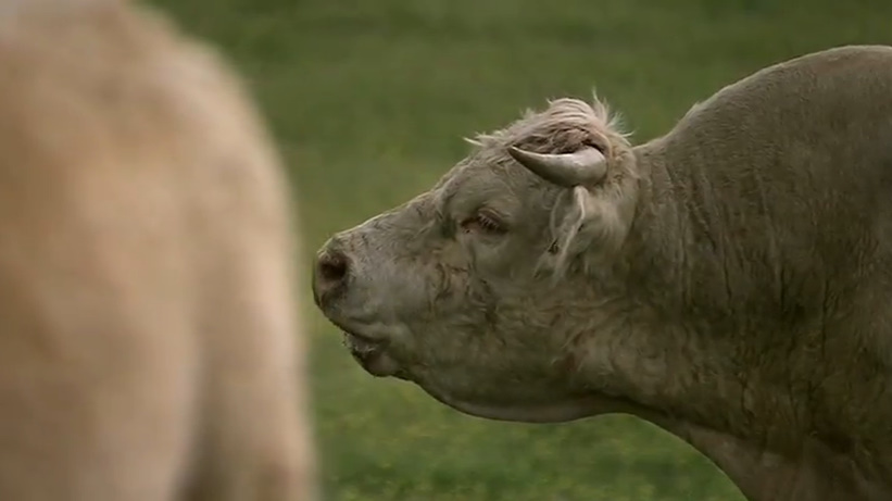 Зброя, мікроби та сталь - Скріншот 2