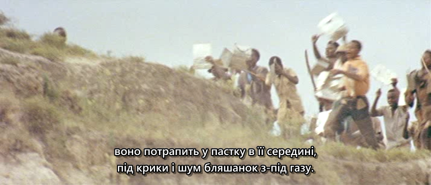 Прощавай, Африко! кадр 5