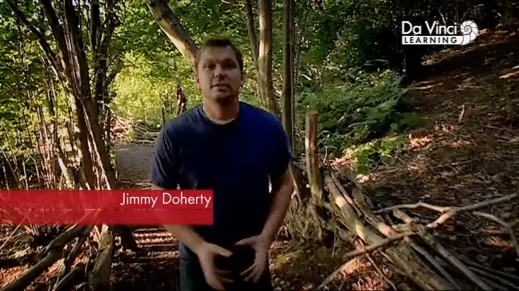 Джиммі Догерті у саду Дарвіна / Сад Дарвіна - Скріншот 3