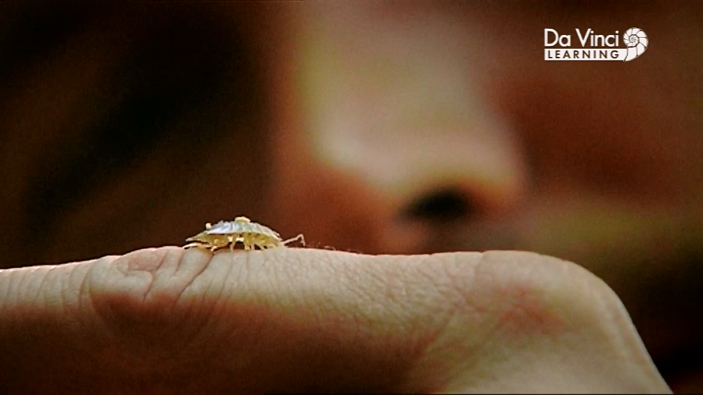 Джиммі Догерті у саду Дарвіна / Сад Дарвіна - Скріншот 4