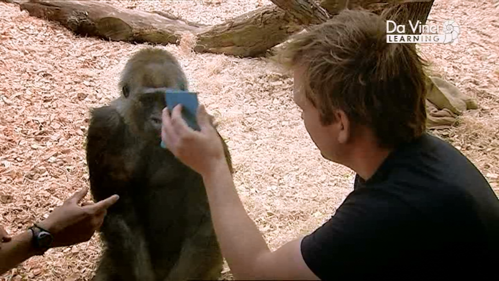 Джиммі Догерті у саду Дарвіна / Сад Дарвіна - Скріншот 2