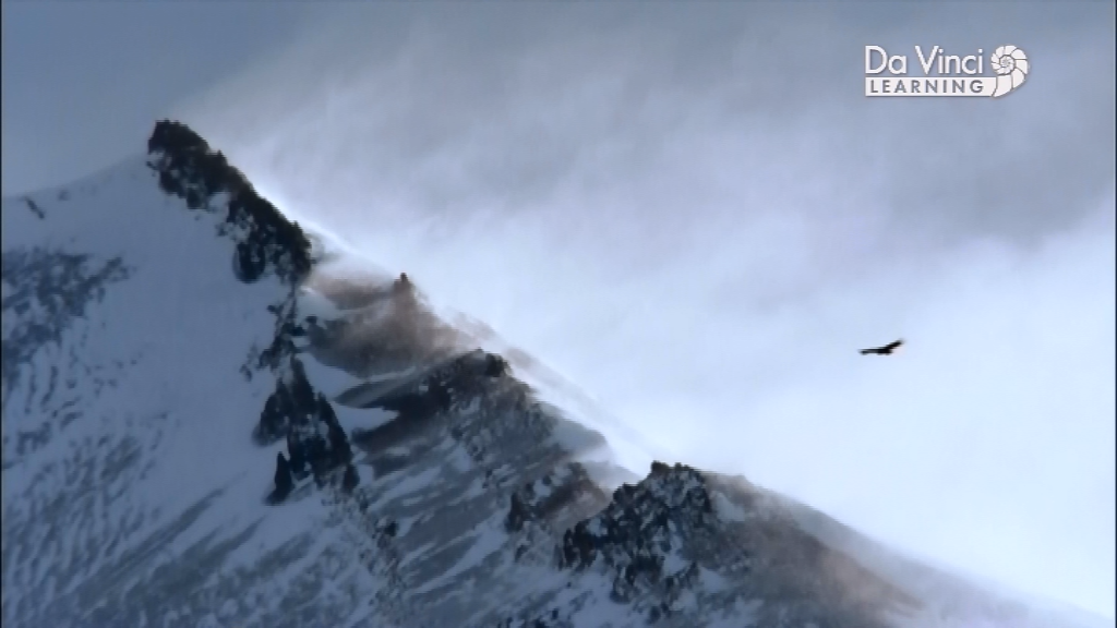 Генетичний код - Скріншот 2