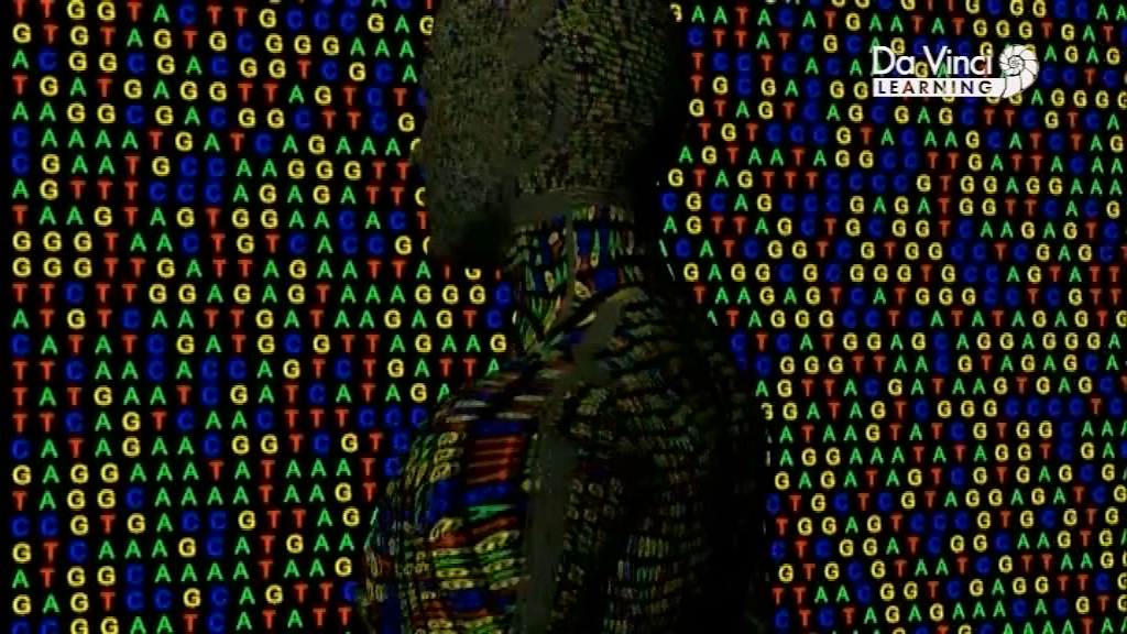 Генетичний код - Скріншот 3