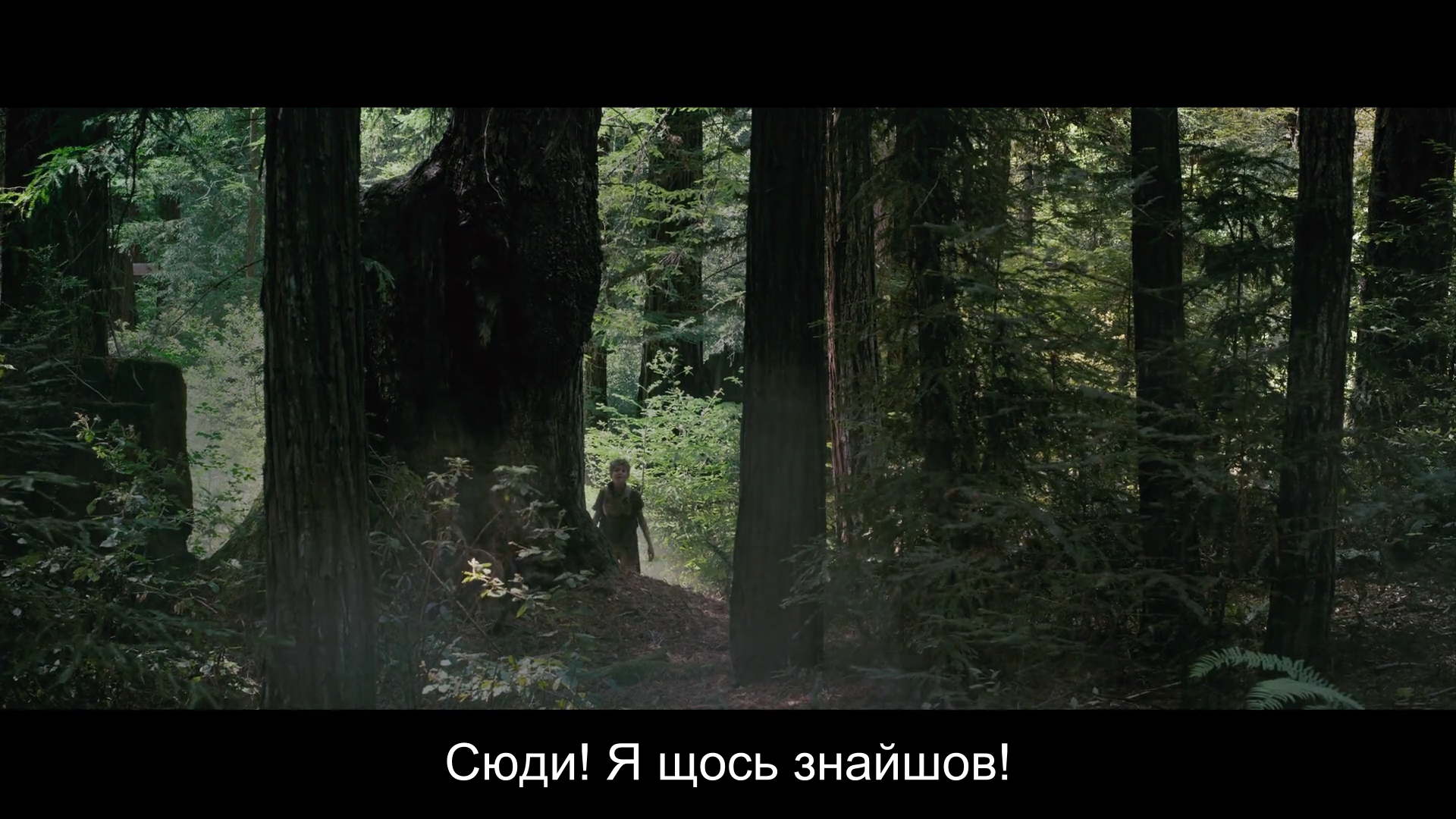 Чатові кадр 4