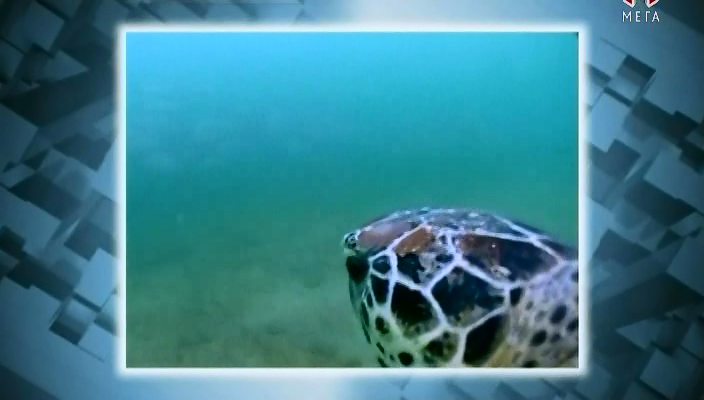 Чудеса світу - Скріншот 4