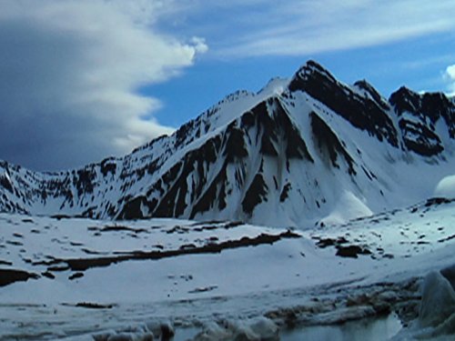 Дика Арктика кадр 2