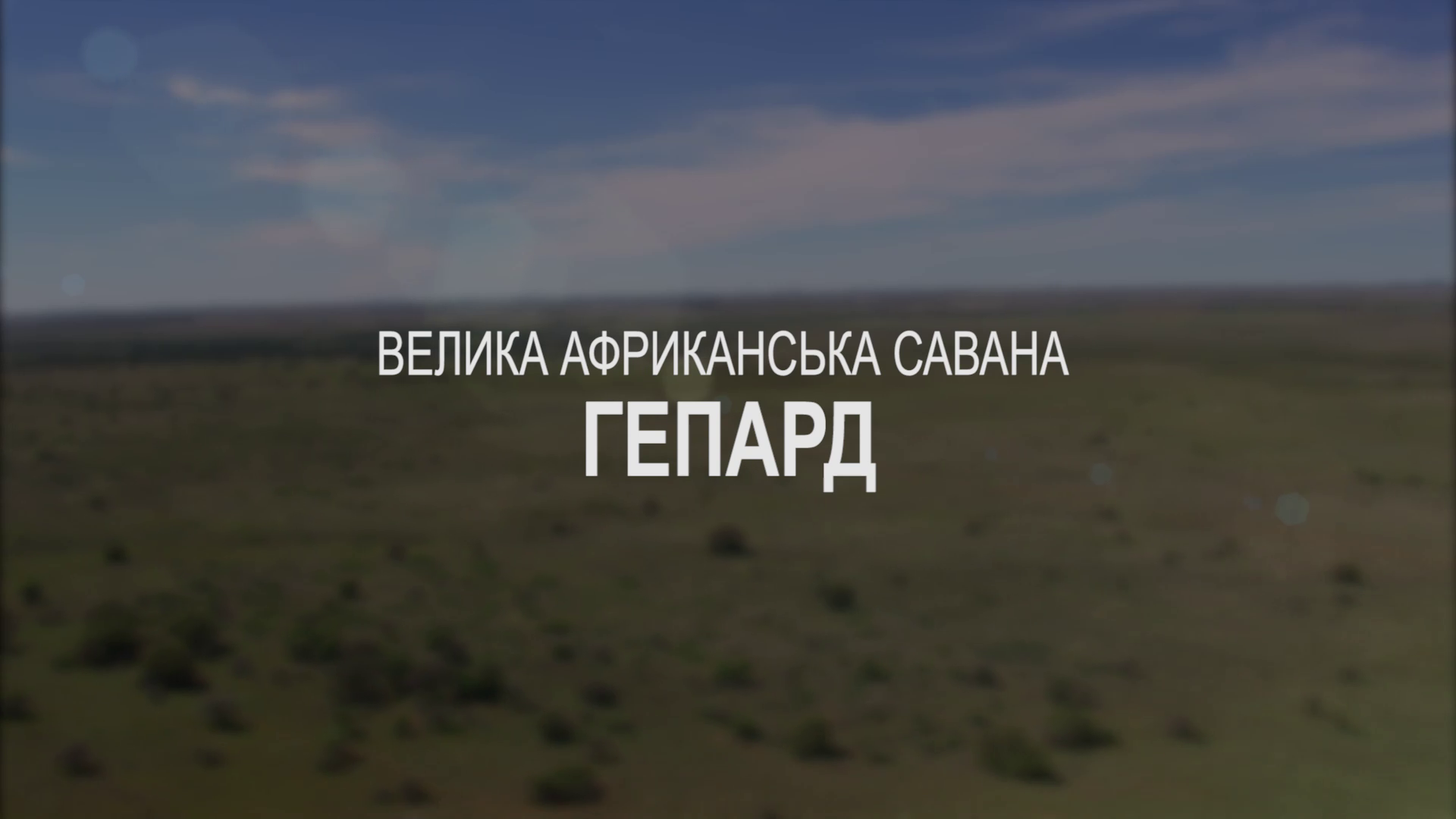 Світ дикої природи кадр 2