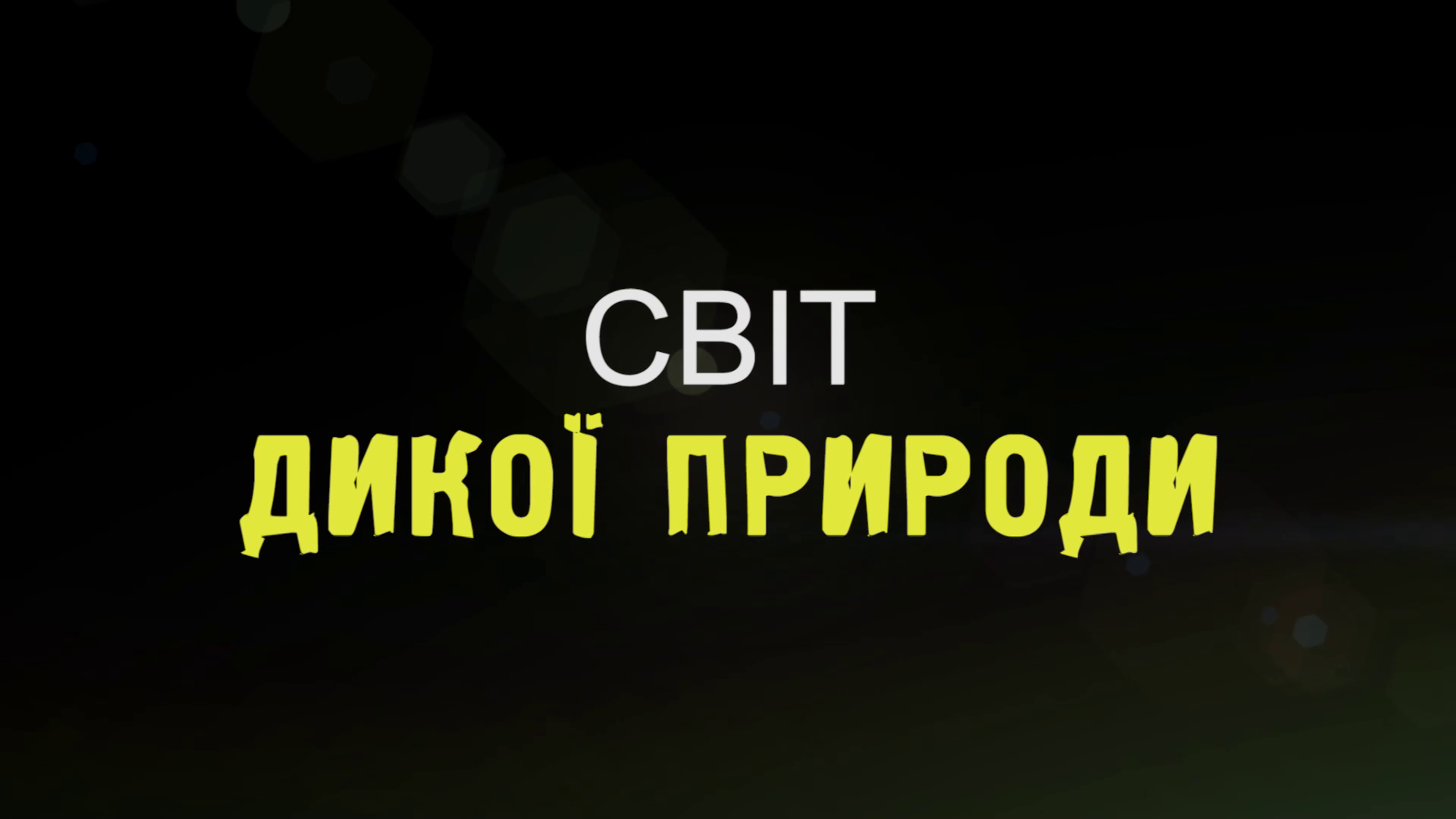 Світ дикої природи кадр 4