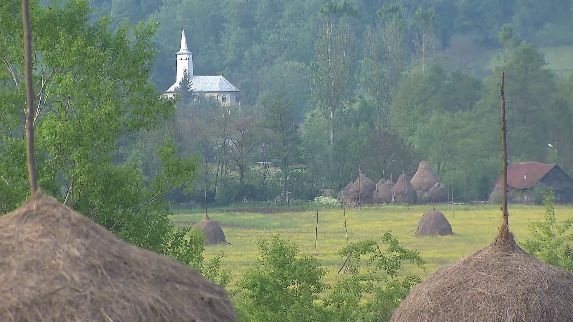 Дикі Карпати кадр 1
