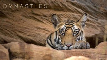 Династії - Скріншот 2