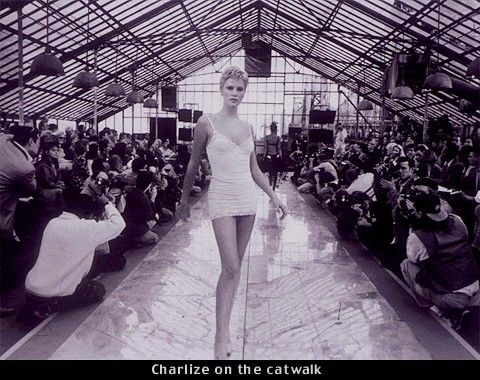 Знаменитість - Скріншот 1