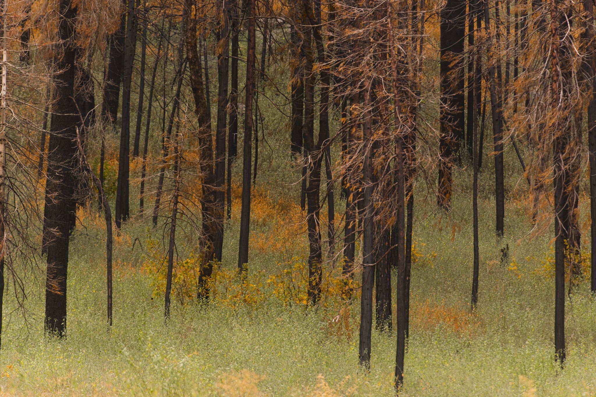 Наша планета - Скріншот 3