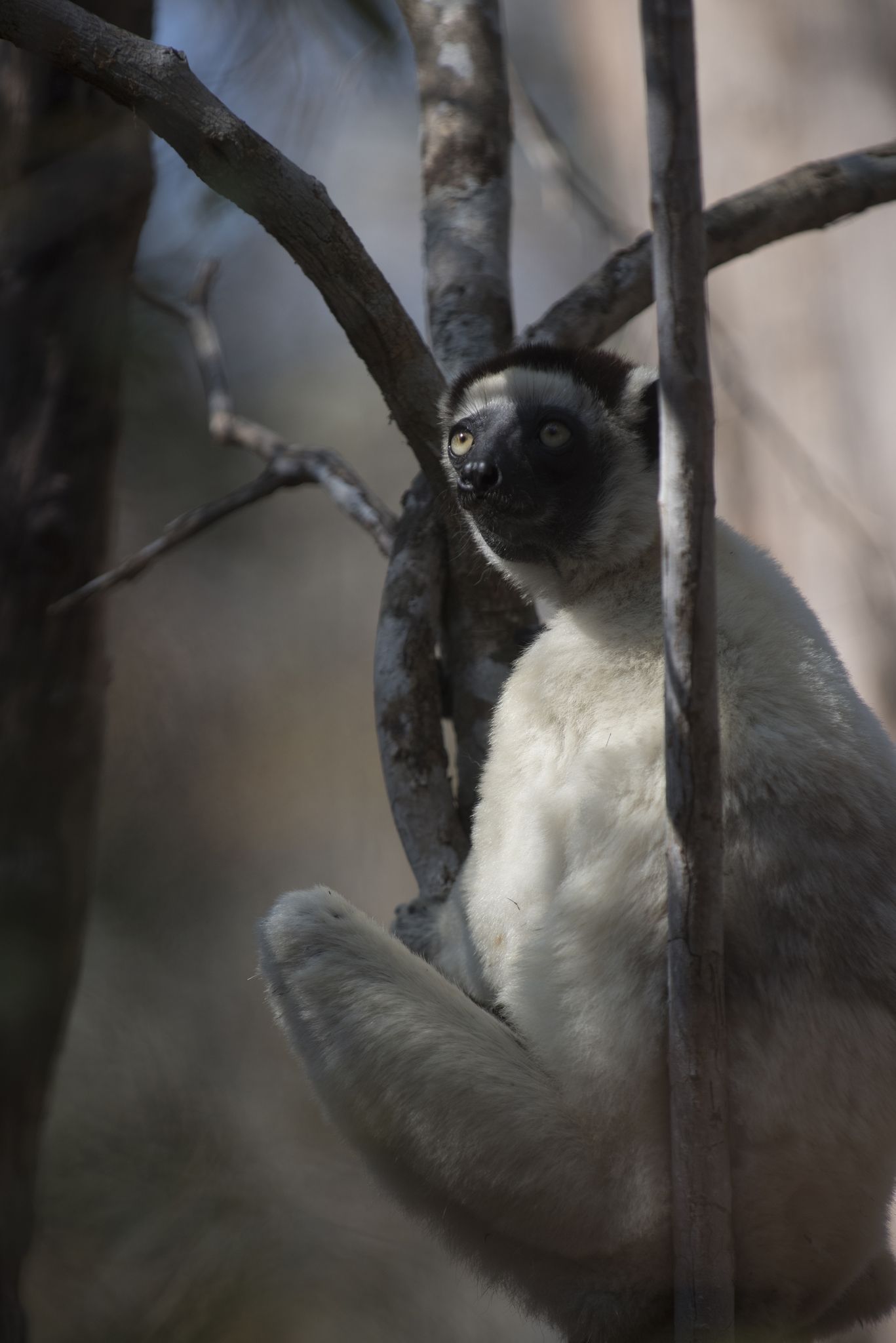Наша планета - Скріншот 4