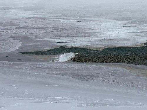 Замерзла Планета кадр 5