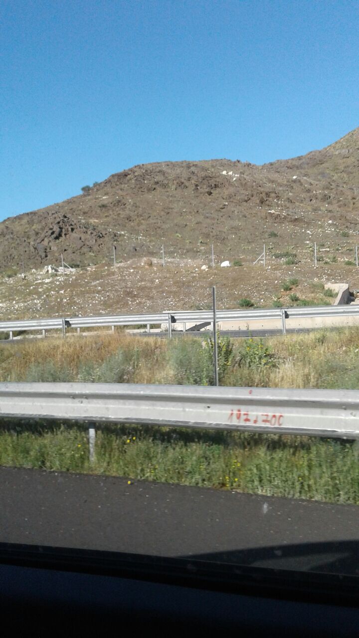 Таємне життя тварин - Скріншот 1