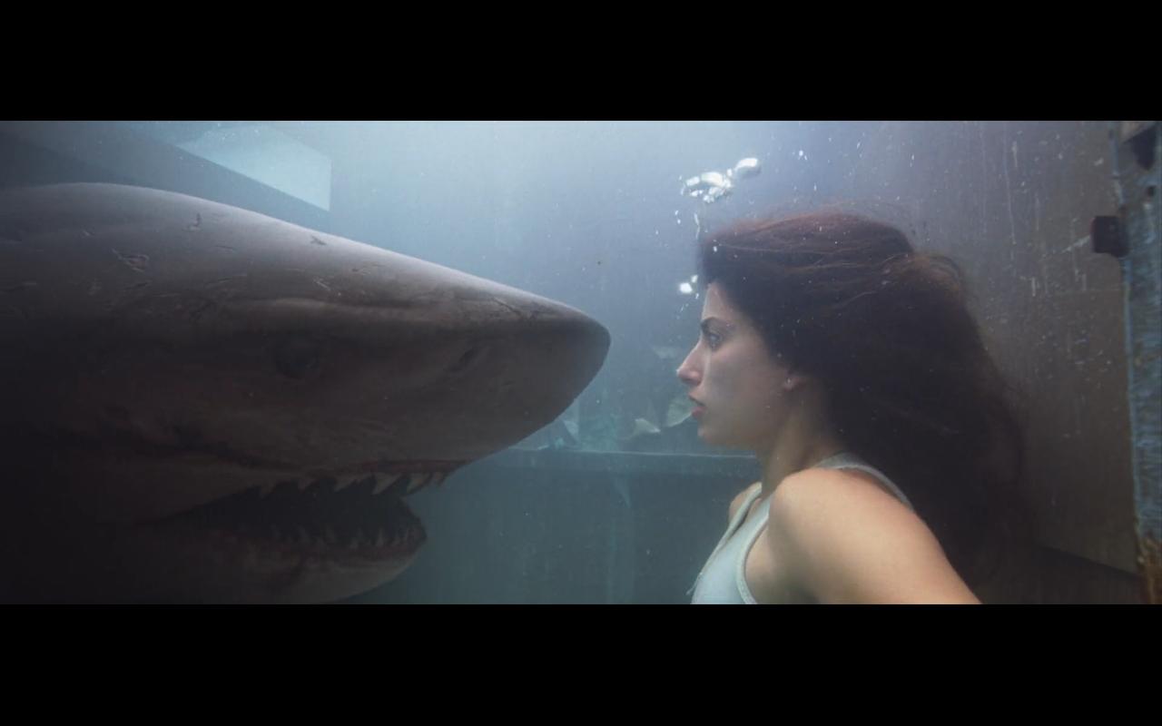 Глибоке синє море 3 - Скріншот 1